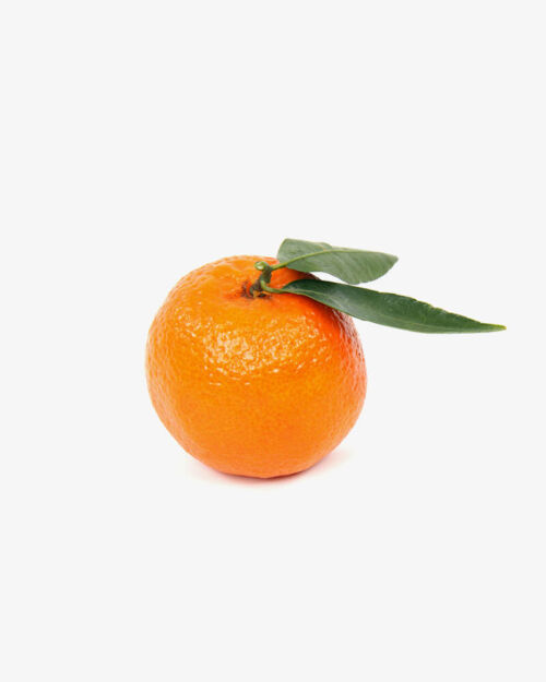 Spanish Oranges (Demo)